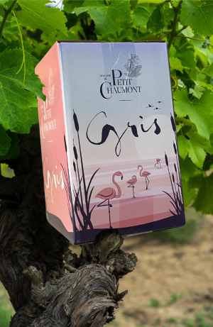 BIB (Bag In Box) Gris 5L