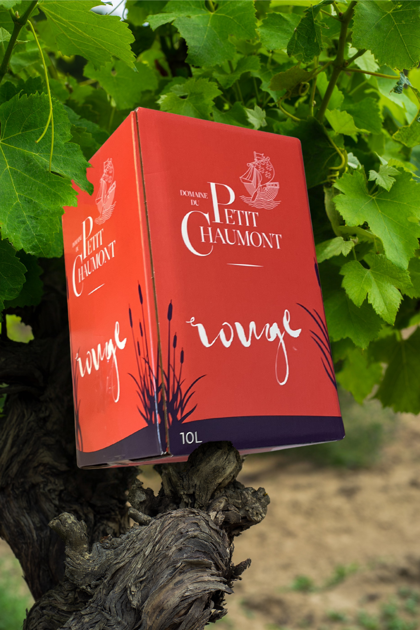 BIB (Bag In Box) Rouge 10L